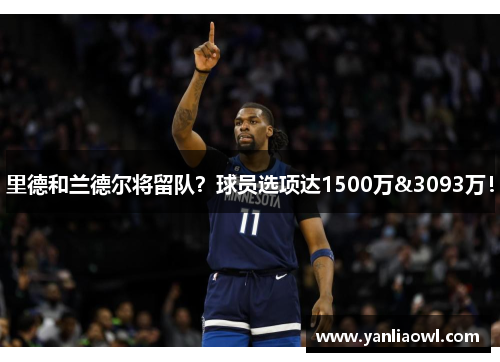 里德和兰德尔将留队？球员选项达1500万&3093万！
